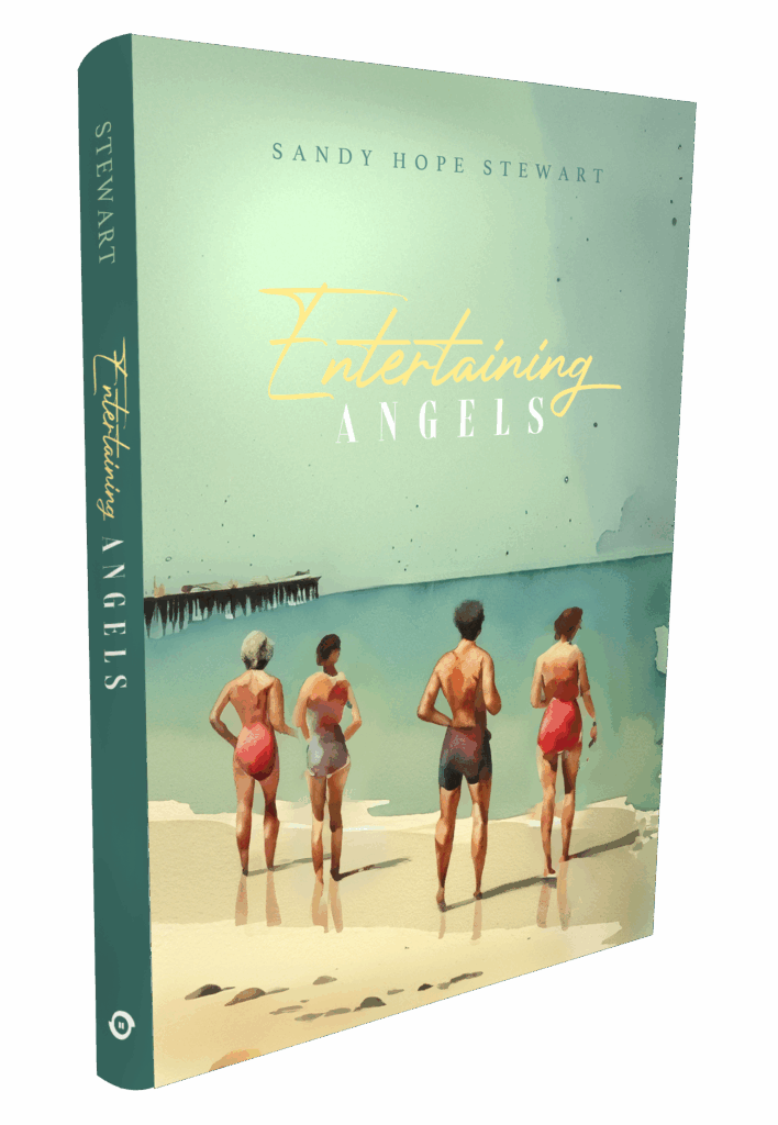 Entertaining Angels Book